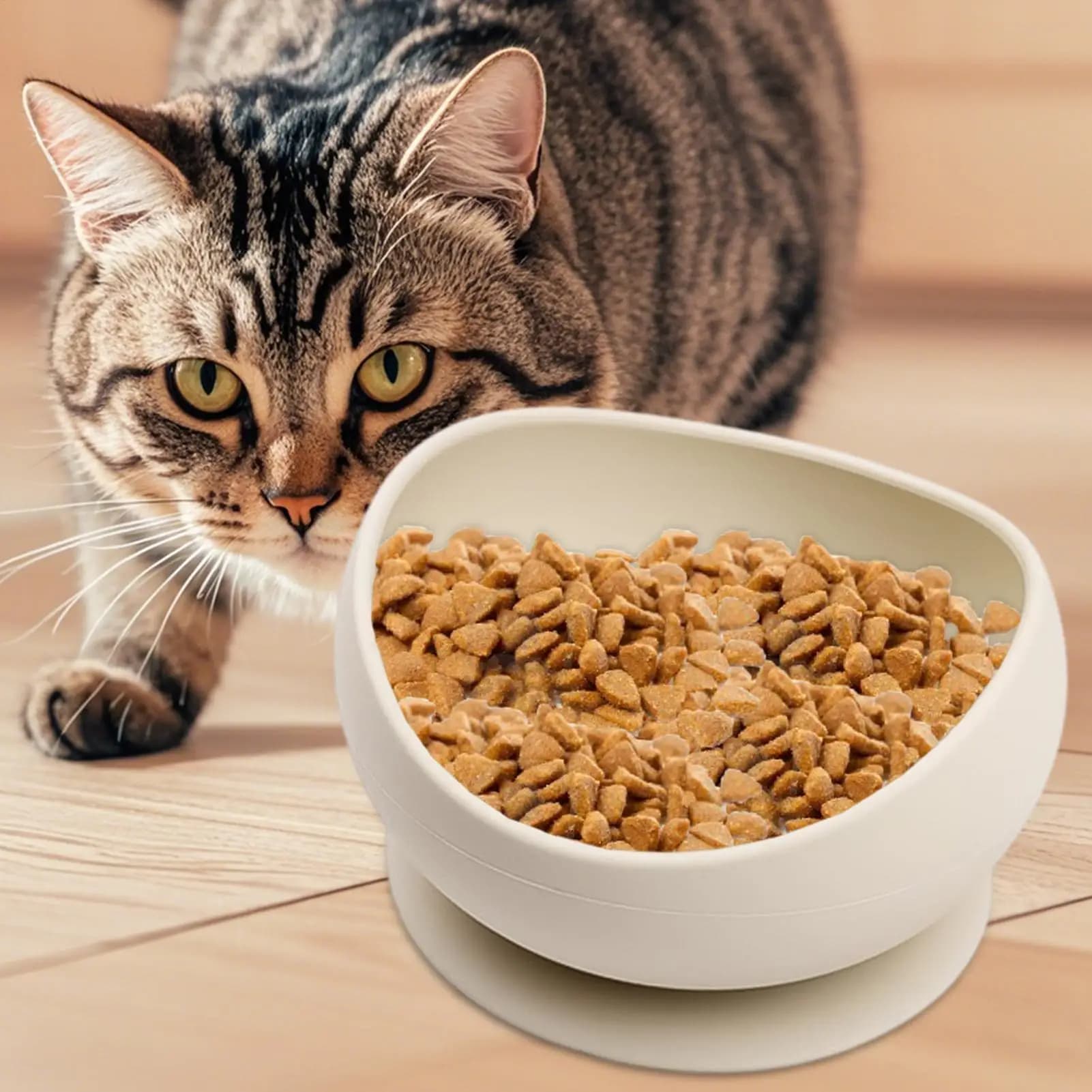 Ciotole per Animali Domestici Antispargimento con Base a Ventosa Robusta, Borsa Portatile da Viaggio per Cibo e Acqua per Cani e Gatti