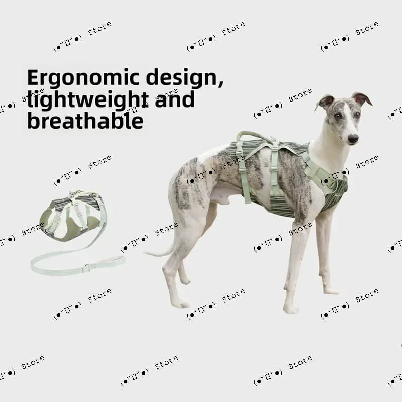 Set di pettorina e guinzaglio anti-rottura e anti-esplosione per cani, pettorine per Whippet e Levriero, accessori per cani, articoli per animali domestici, arnes perro