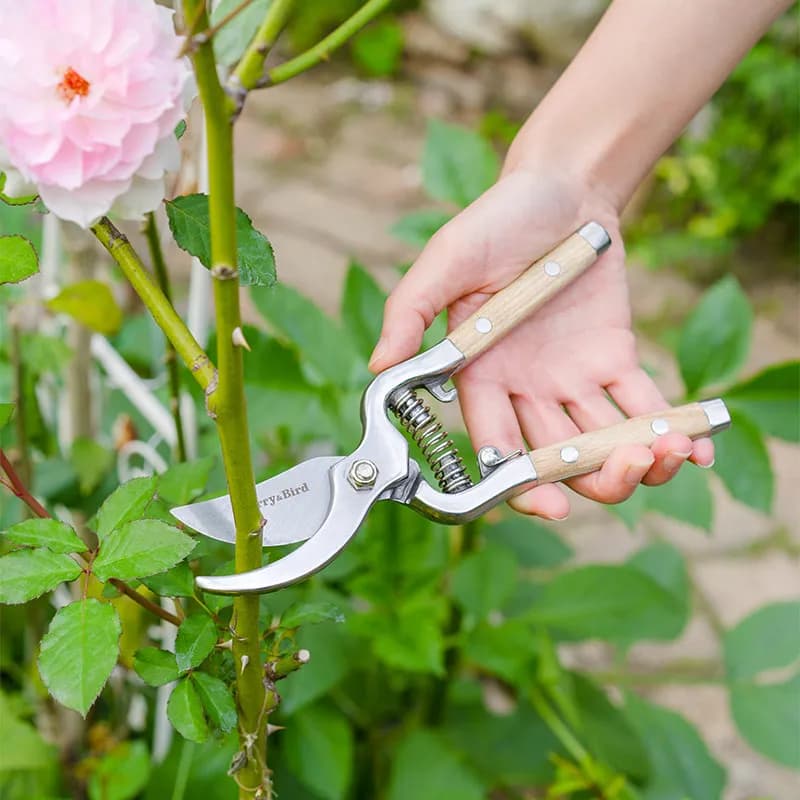 Power Drills for Gardening, Heavy Duty Potting Shears for Stainless Steel, Fruit Tree Potting Scissors and Vase Plants