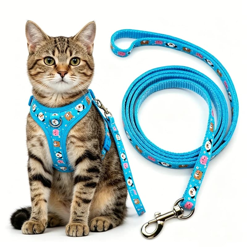 Set Guinzaglio e Pettorina per Cani Senza Strappi, Stampa Cartone Animato, in Morbido Nylon, per Cuccioli Piccoli, Chihuahua, Teddy - Offerta Speciale