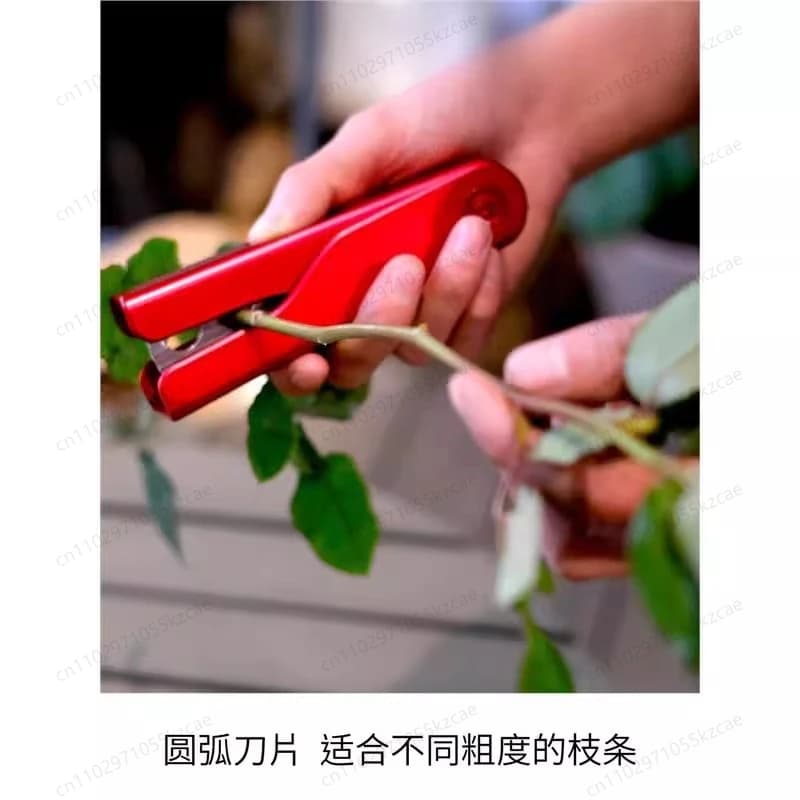 Essential Set for Care of Roses and Flowers – Pinze to Remove Spins, Pinze con Denti, Agitatore e Cesoie per la Manutenzione del Giardino