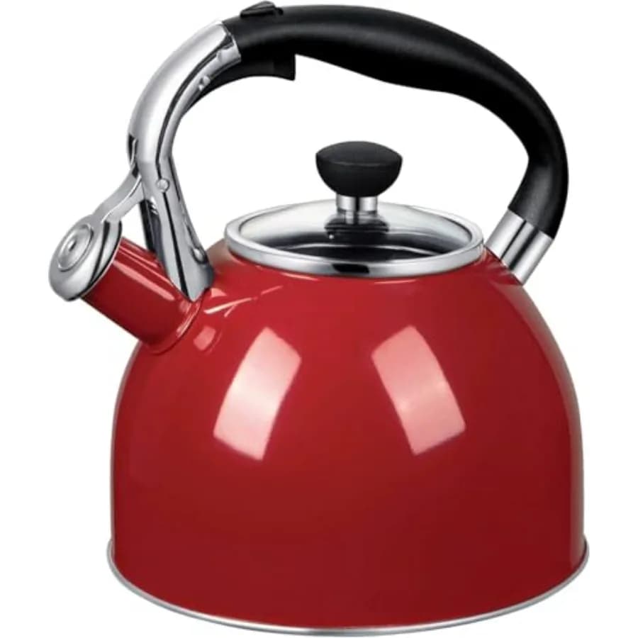 Bollitore da tè con fischietto: Bollitore in acciaio inossidabile da 2,5 litri per piano cottura con fondo a capsula e coperchio in vetro resistente al calore