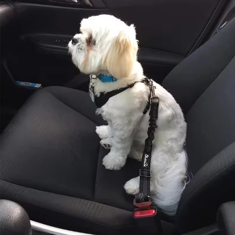 Safety Belt for Car Dogs with Shock Absorber and Reflective Line, Adjustable Length, Fit to All Dogs