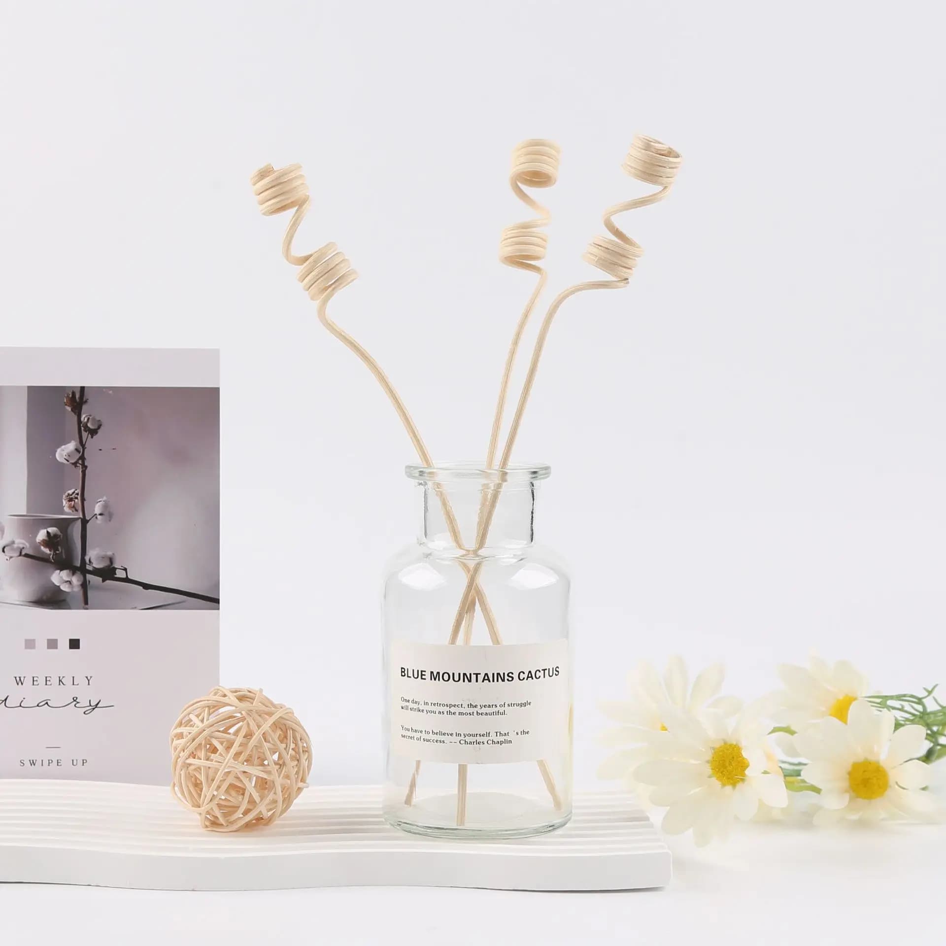 10 pz. Diffusori di Aroma in Legno Naturale a Sfera, Bastoncini in Rattan per Aromaterapia e Profumazione Casa, Decorazioni Fai-da-te per Oli Essenziali