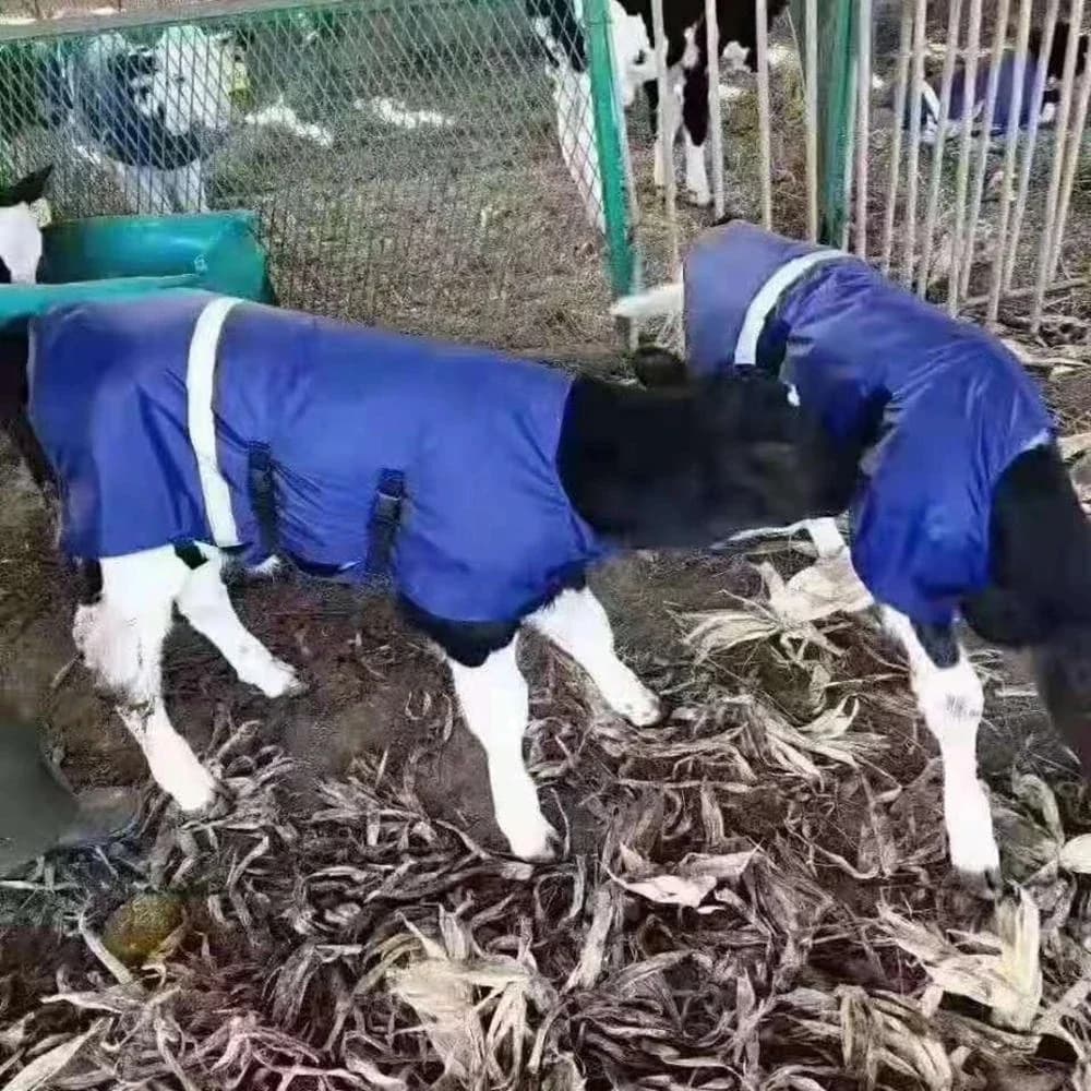 1 pz mucca vitello bovino cappotto caldo gilet giacca in inverno addensare protezione prevenzione del freddo impermeabile Ranch Pasture Tool Supplies