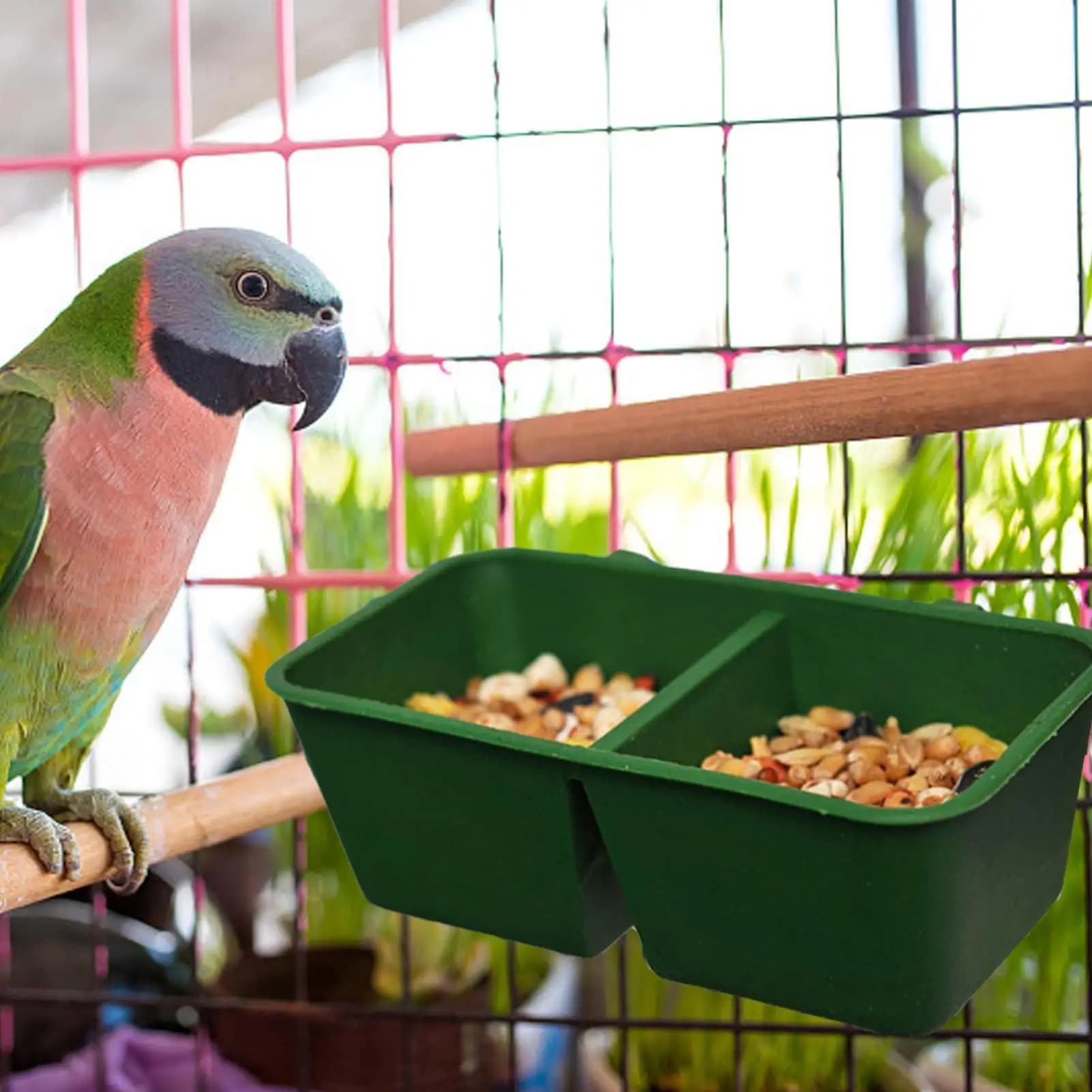 2 In 1 Parrot Food Water Bowl Dualed Feeding Cup Plastic Bird Pigeons Cage Water Food Feeder Bird Parrot Pet Water Bowl