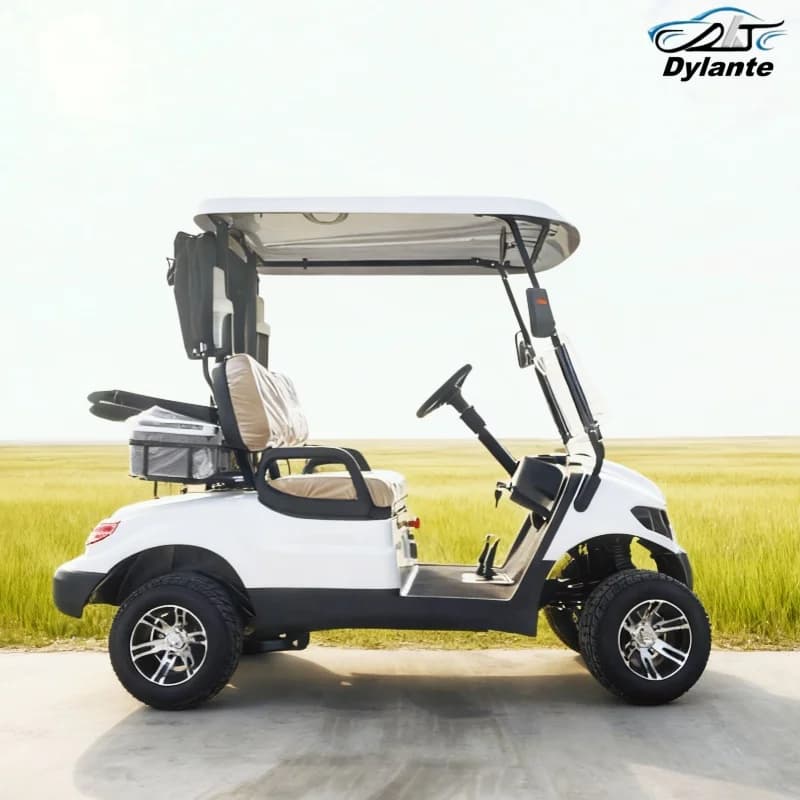 2 Seater Off Road Electric Golf Cart For Sale Golf Cart Energy-Saving Ball Washer Golf Bag Rack And Basket Golf Bag Rain Cover