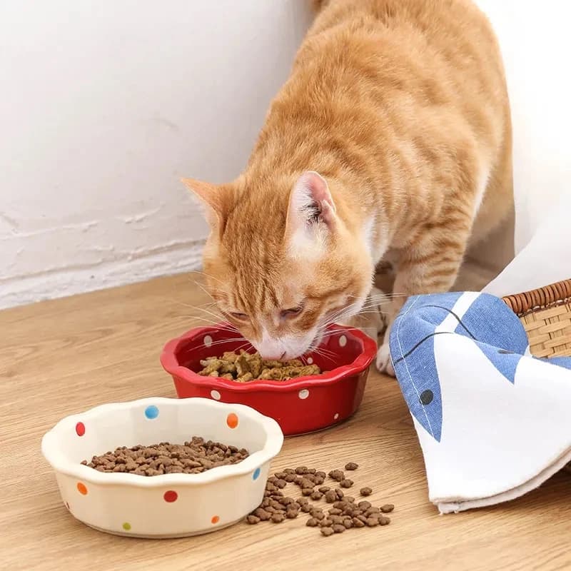 Ciotola in ceramica per cani e gatti, set di ciotole in porcellana per cibo e acqua, accessori per l'alimentazione di cuccioli e gatti.