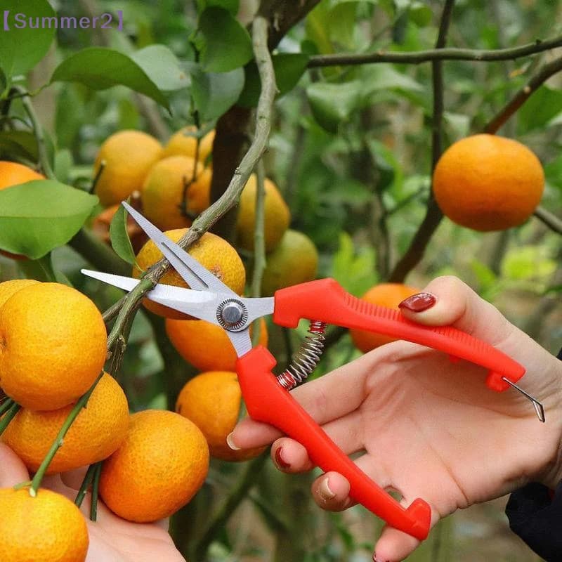 High Carbon Steel Gardening Pruning Shears Non Slip Handles Straight Curved Tips Stem Cutter For Fruit Orchard Garden Trimming