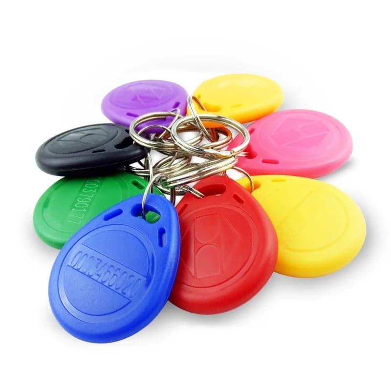 10/20pcs 125KHz di sola lettura RFID 125KHz Controllo accessi Telecomandi di prossimità Smart Secure Porta Ingresso Controllo accessi ID Portachiavi Token