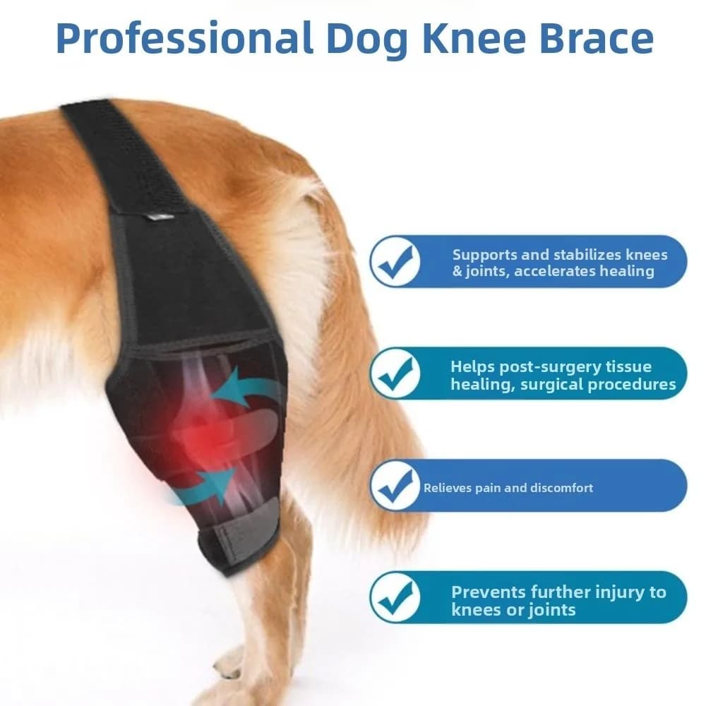 Ginocchiera per cani regolabile Staffa di supporto per gambe durevole e traspirante Supporto per articolazioni Protezione per ferite del ginocchio per animali domestici per gambe posteriori e anteriori