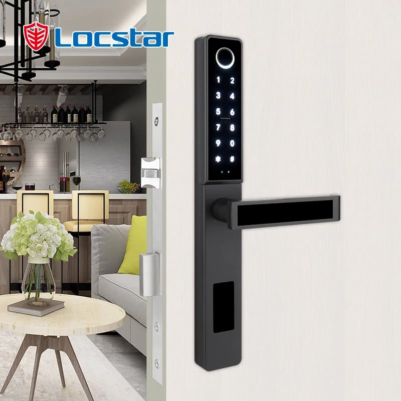Locstar Cerradura Impronte digitali TTlock Maniglia Wifi Chiave da infilare elettrica normale digitale Tastiera interna Serratura intelligente