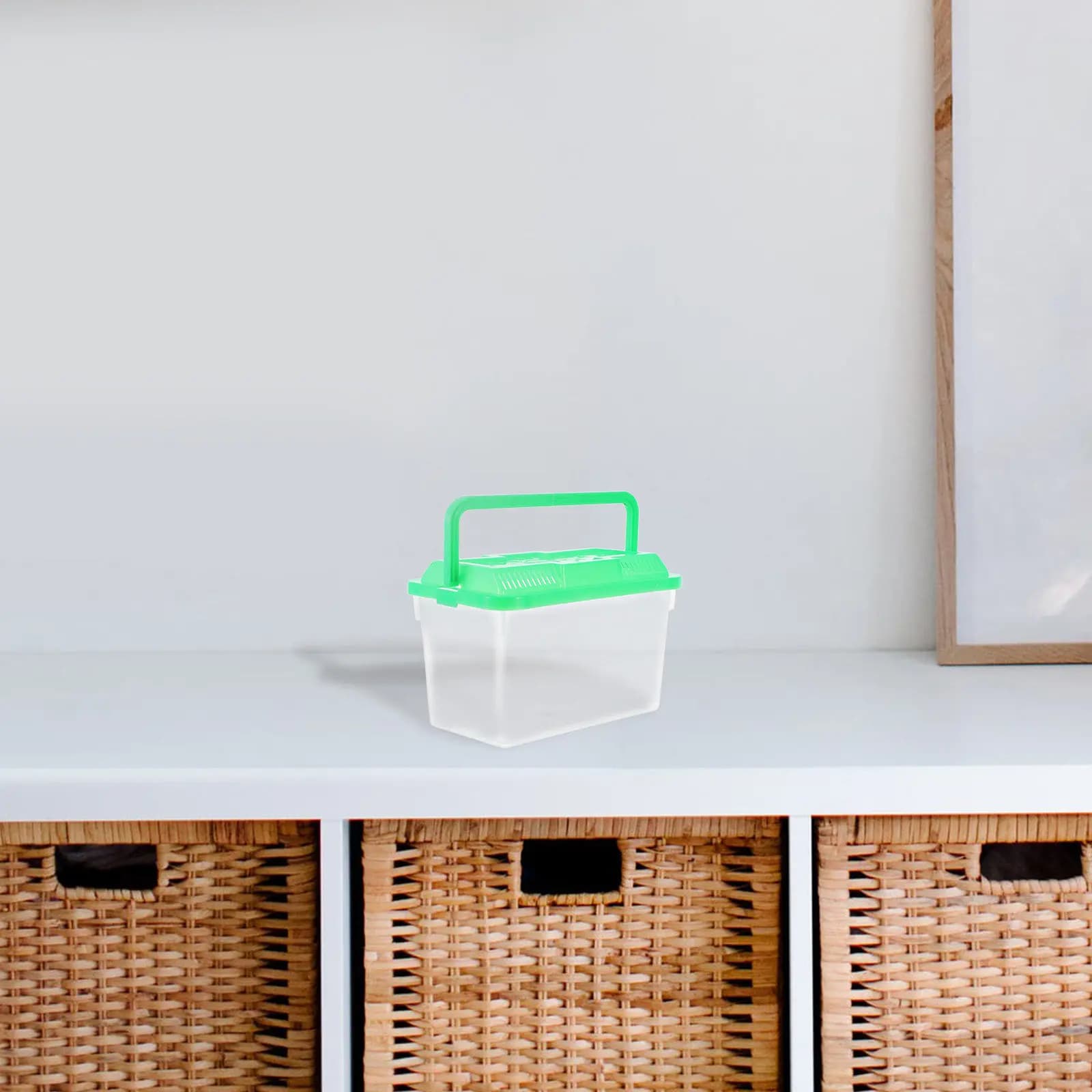 Mini Acquario Portatile, Scatola Trasparente in Plastica per Pesci e Tartarughe, Contenitore da Viaggio per Allevamento Animali