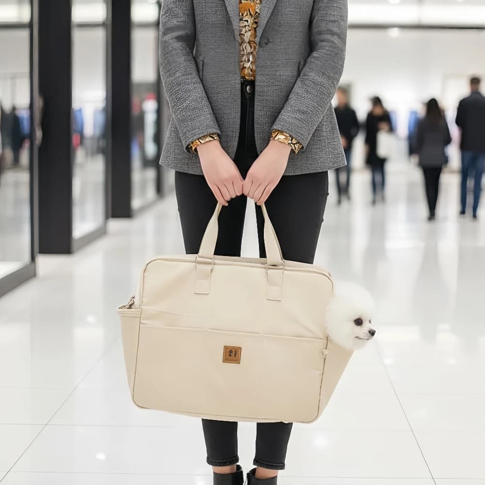 Borsa a Tracolla per Cani da Esterno: Stile Minimalista con Rete Traspirante e Cuccia Portatile per Gite Primaverili con Tracolla a Mani Libere