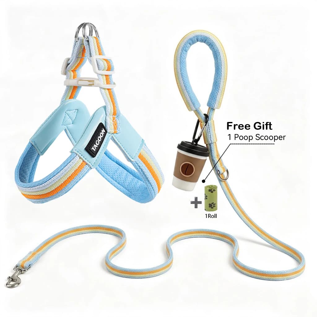 Hot Sale Dog Harness Vest Lightweight Breathable Anti‑Pull Pet Walking Harness Leash Set for Small Medium Dogs Summer Outdoor