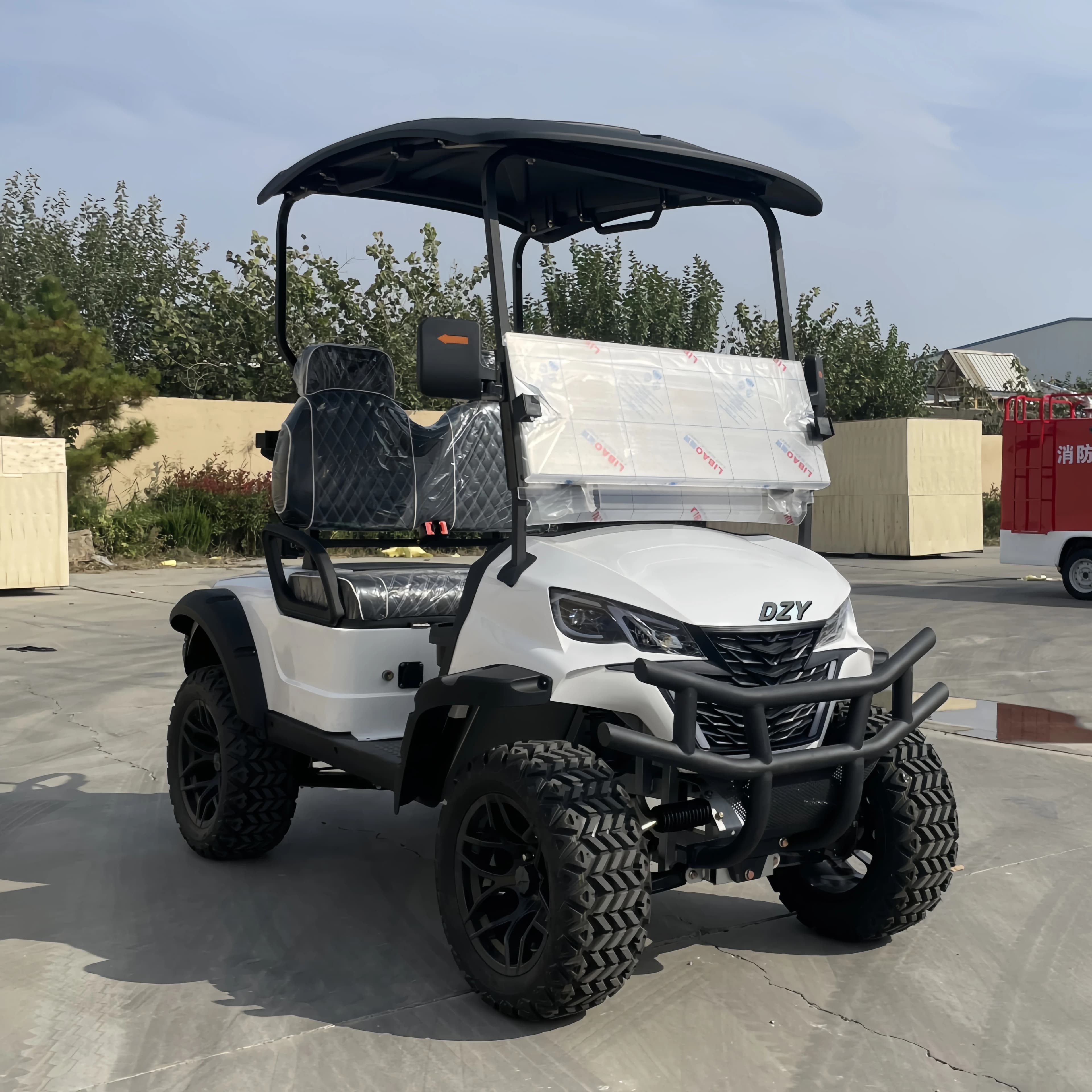 Golf cart elettrico di nuova concezione, veicolo elettrico da golf fuoristrada dotato di pannelli solari, veicolo elettrico a quattro ruote motrici a 2 posti
