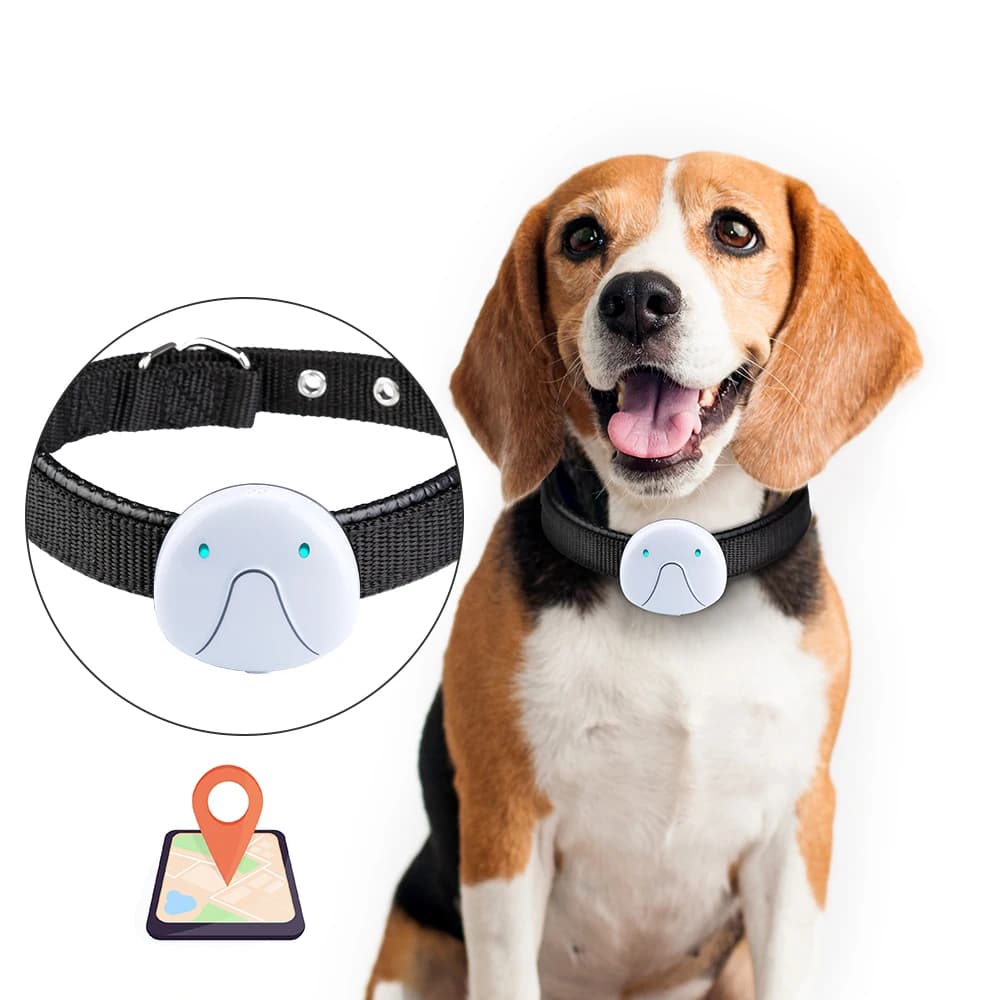Localizzatore GPS per animali domestici elettronico intelligente Posizione collare WIFI Mini localizzatore per gatti Localizzatore anti-smarrimento impermeabile per collari per cani Ricarica USB