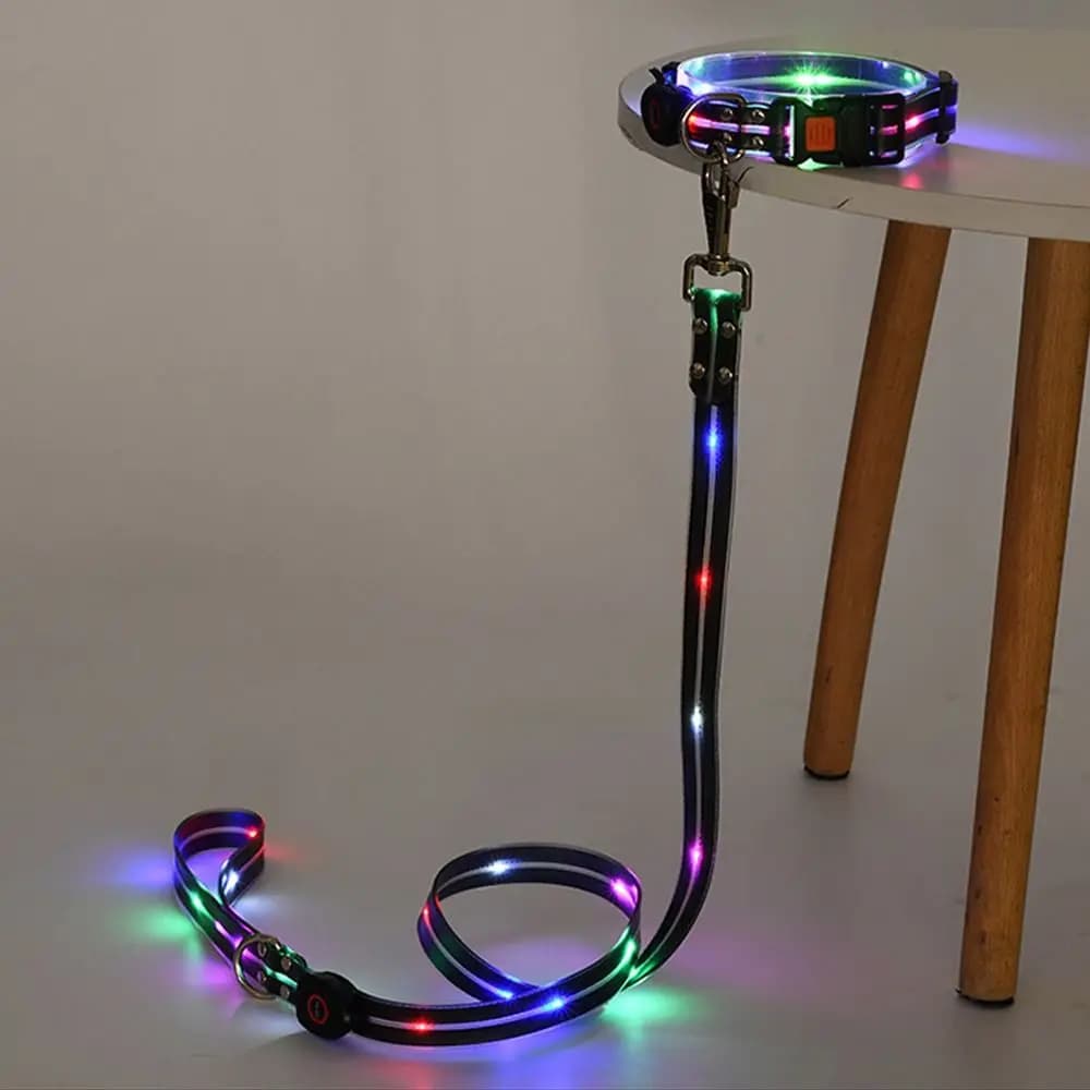 Collare e Guinzaglio Luminosi per Cani, Ricaricabili e Regolabili, Resistenti alle Intemperie, Anti-smarrimento, per Passeggiate Notturne