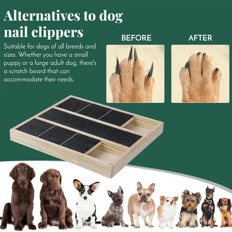 Tiragraffi per unghie per cani Tappetino per unghie Tiragraffi per animali domestici in legno estraibile Giocattolo Scatola per dolcetti incorporata Tiragraffi per carta vetrata per cani