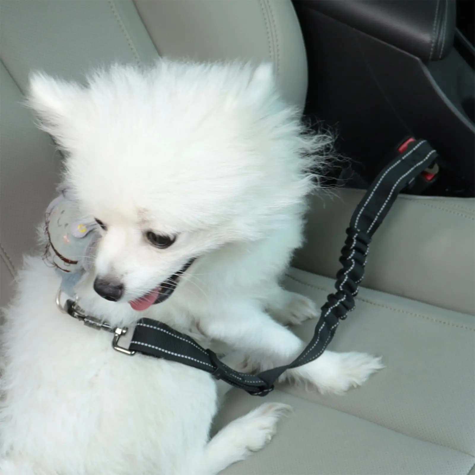 Imbracatura sicura per auto per cani Imbracatura anti-fuga per auto per cani in piombo per animali domestici Cuccioli Viaggi Camminate quotidiane Veicolo automobilistico