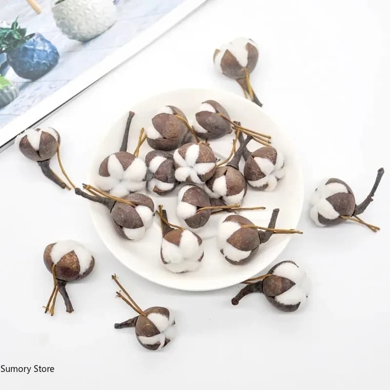12 Kapok artificiali Fiori secchi naturali Simulazione Cotone Sala nuziale Decorazione pasquale Forniture Confezione regalo bouquet ghirlanda fai da te