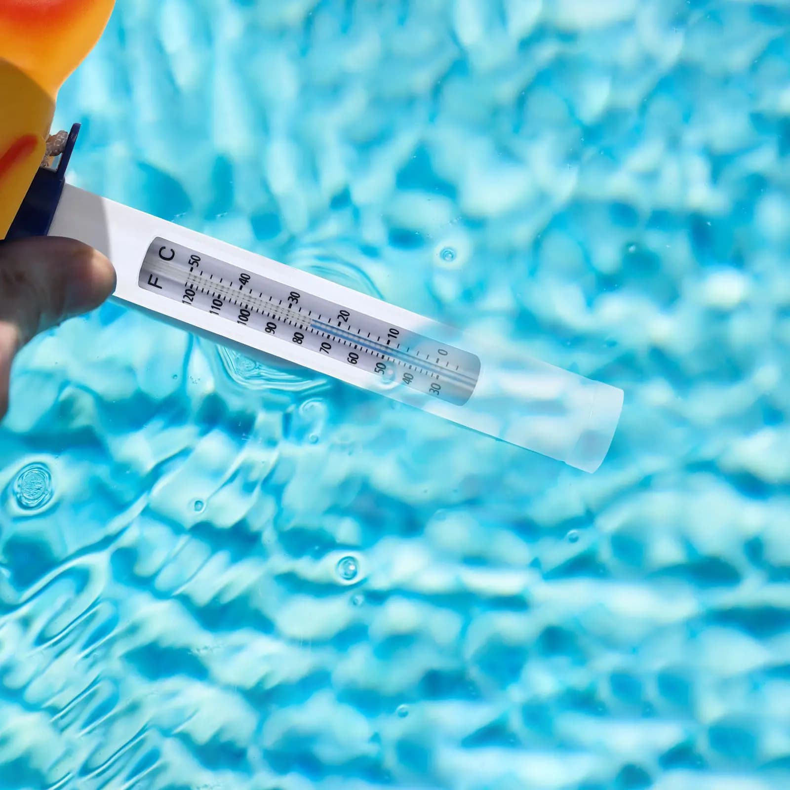 Termometro Galleggiante per Piscina a Forma di Pesce Rosso, Design Cartoon, Rapido e Preciso, Misuratore di Temperatura per Piscina, Doppia Scala Celsius Fahrenheit