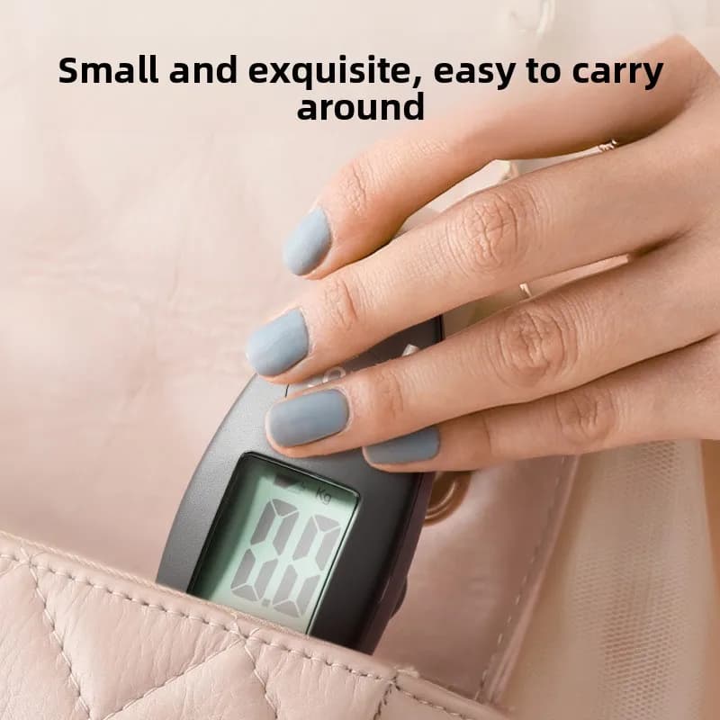 Bilancia Digitale Elettronica LCD Portatile 40kg/100g per Bagagli, Valigie, Pesatura di Borse da Viaggio e Gancio per Pesare Pesci