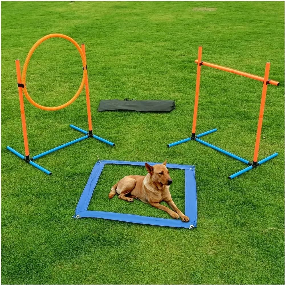 Kit di Addestramento per Cani con Percorso a Ostacoli, Set Base con Palo per Salto, Anello e Pause Box per Giochi al Chiuso e all'Aperto