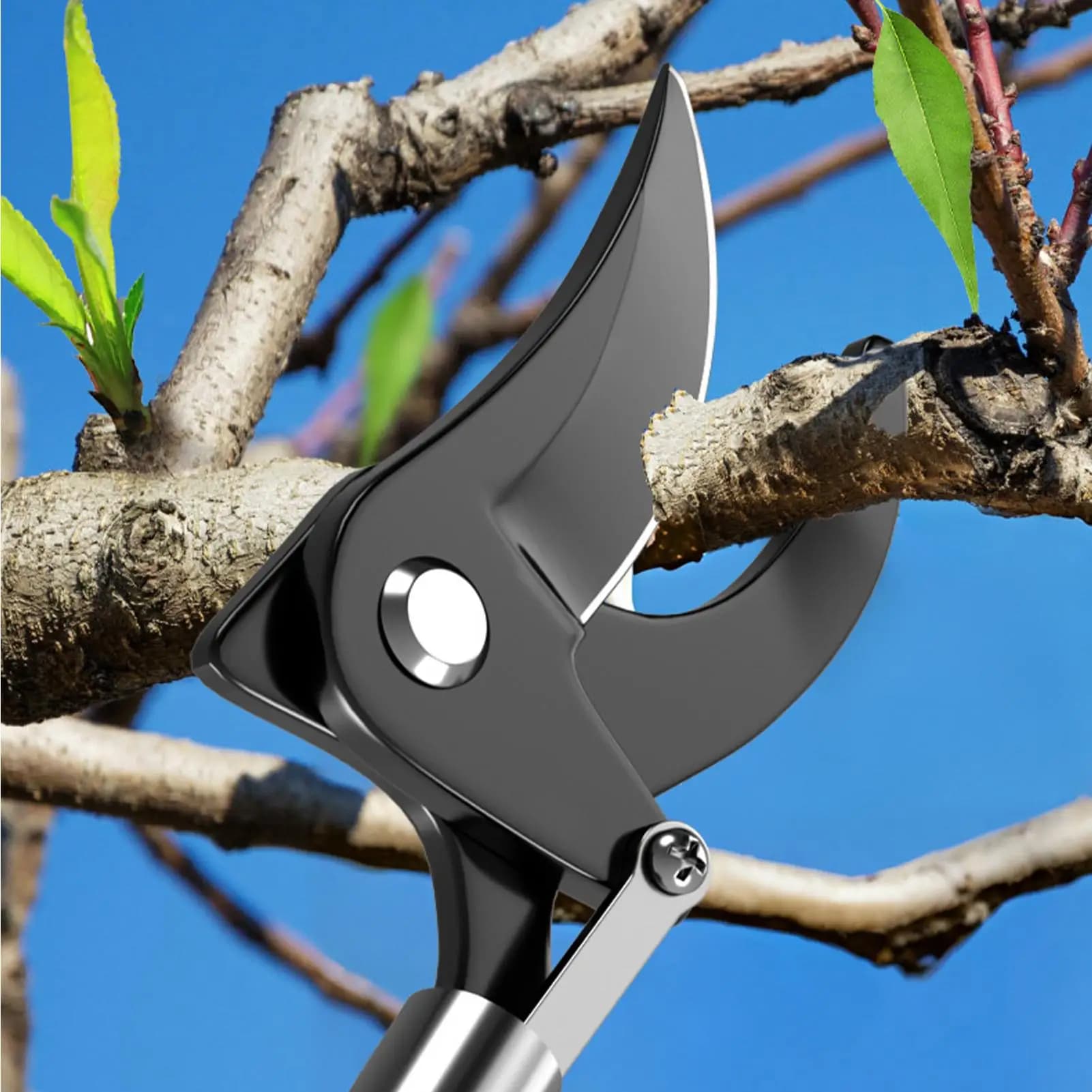 1M Fruit harvester Extra long Fruit picking Shears Power and sealing Bypass Potential cutting Max cutting Grape harvester and gooses Garden equipment
