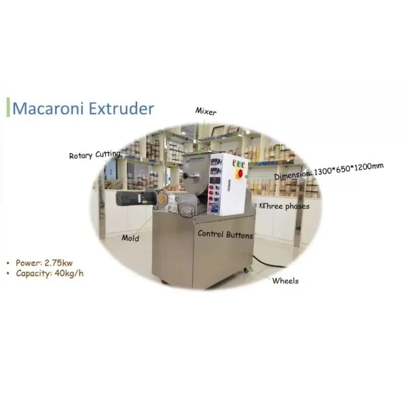 Customized Large Capacity Automatic Macaroni Pasta Maker Machine Factory Price Industrial Equipment