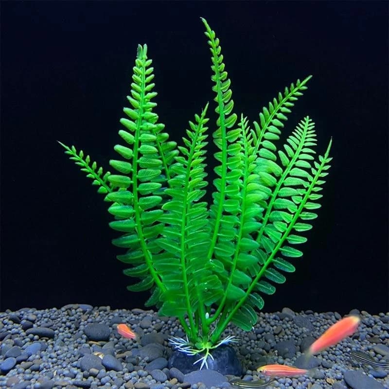 Pianta acquatica artificiale Erba acquatica artificiale per acquario Decorazioni per acquari Pianta acquatica Pianta acquatica