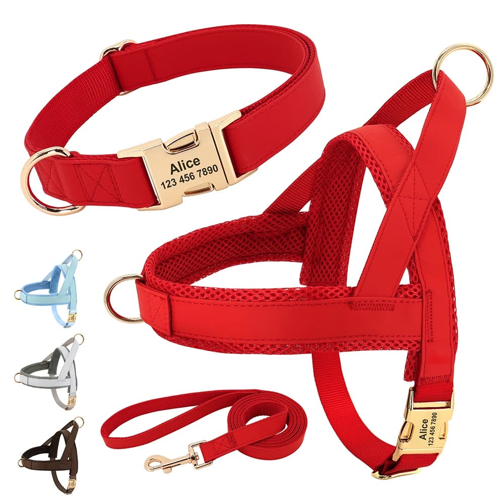 Set di guinzagli per collare per cani in pelle personalizzato Set di guinzagli per gilet in rete per animali domestici personalizzato ID guinzagli per animali domestici per cani di piccola, media e grande