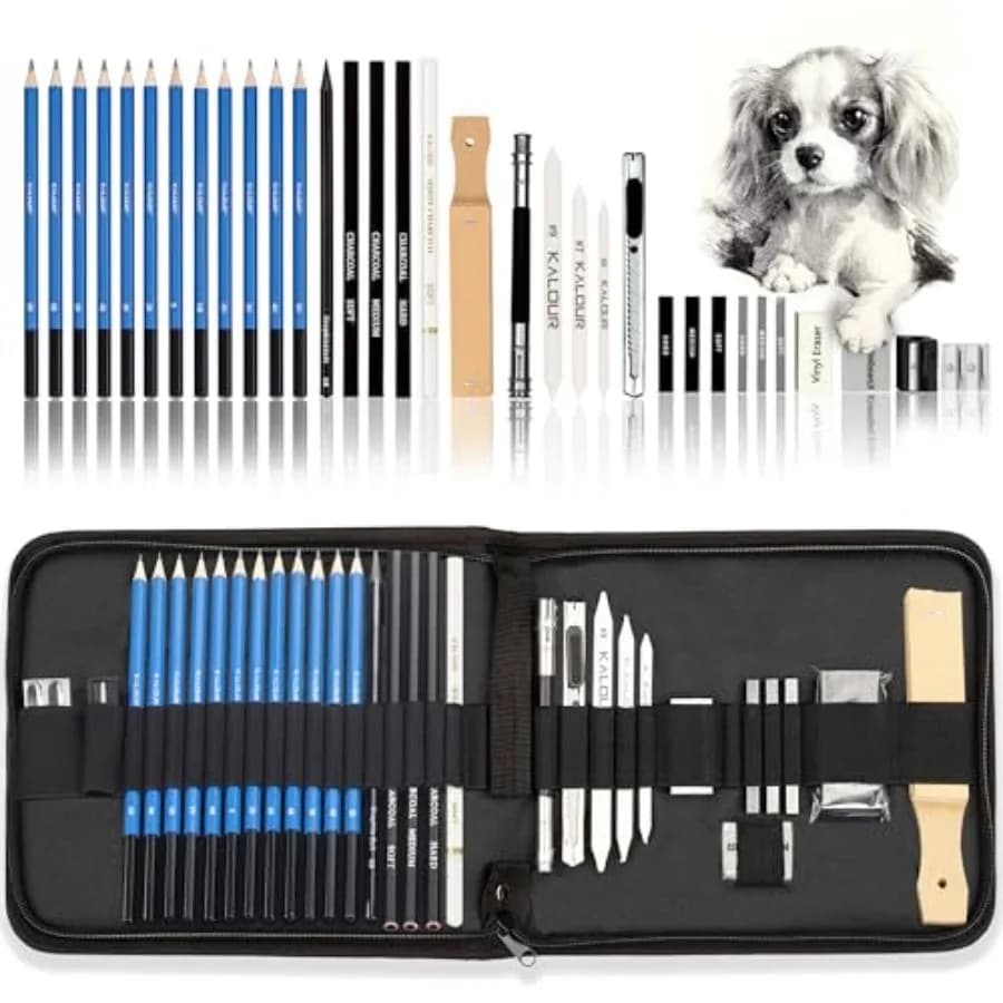 Pro Drawing Kit Sketching Pencils Set, Portable Zippered Travel Case-Charcoal Pencils, Sketch Pencils, Charcoal Stick, Sharpene