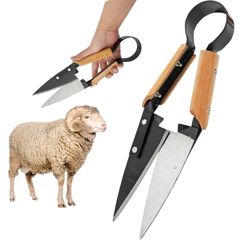 13 inch wooden handle sheep goat wool shears wool scissors wool shearing pruning shears wool shears branch of a tree