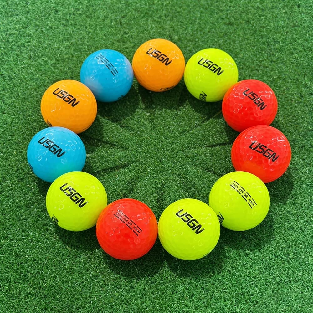 Pallina da Golf Professionale a 2 Strati, Alta Elasticità, Volo a Lunga Distanza, Resistente all'Usura, Durevole per Competizioni e Pratica Quotidiana