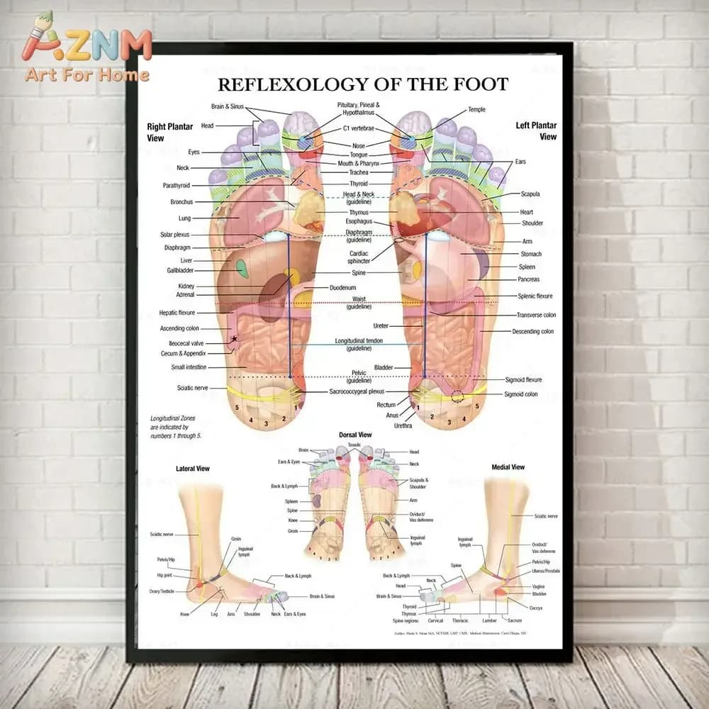 AZNM Foot Reflexology Chart Canvas Wall Art, Frameless Acupressure Massage Therapy Anatomy Print, Educational Medical Home Decor