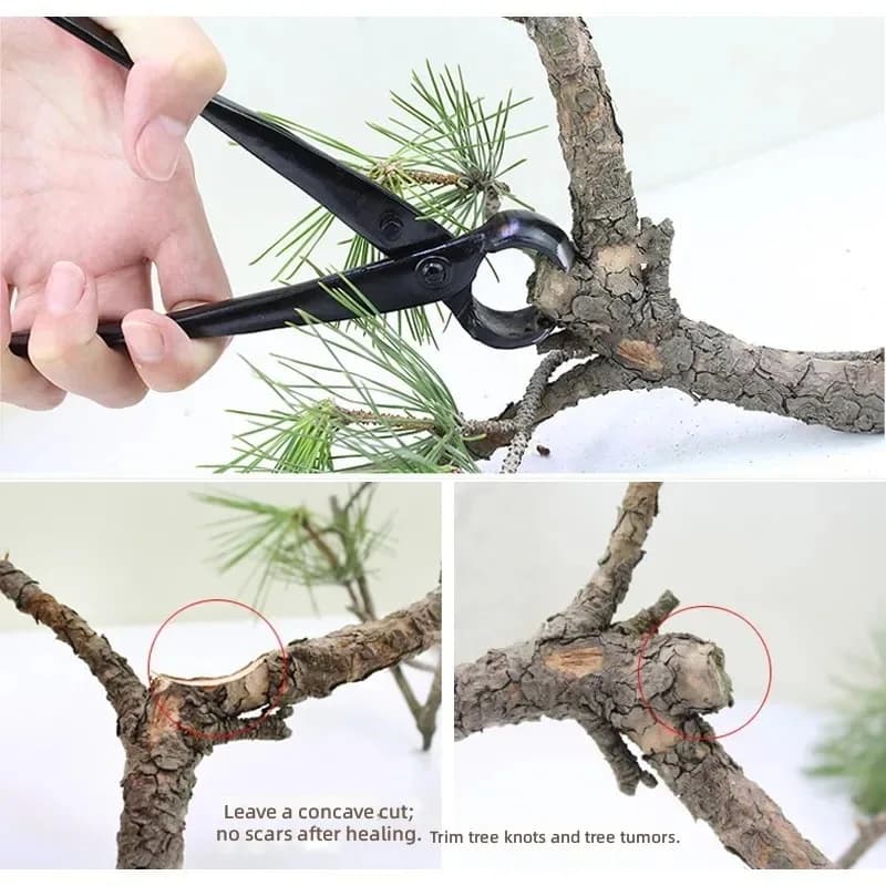 for Pruning Shears Potted Stainless Steel Floral Garden Flower Branch Horticultural