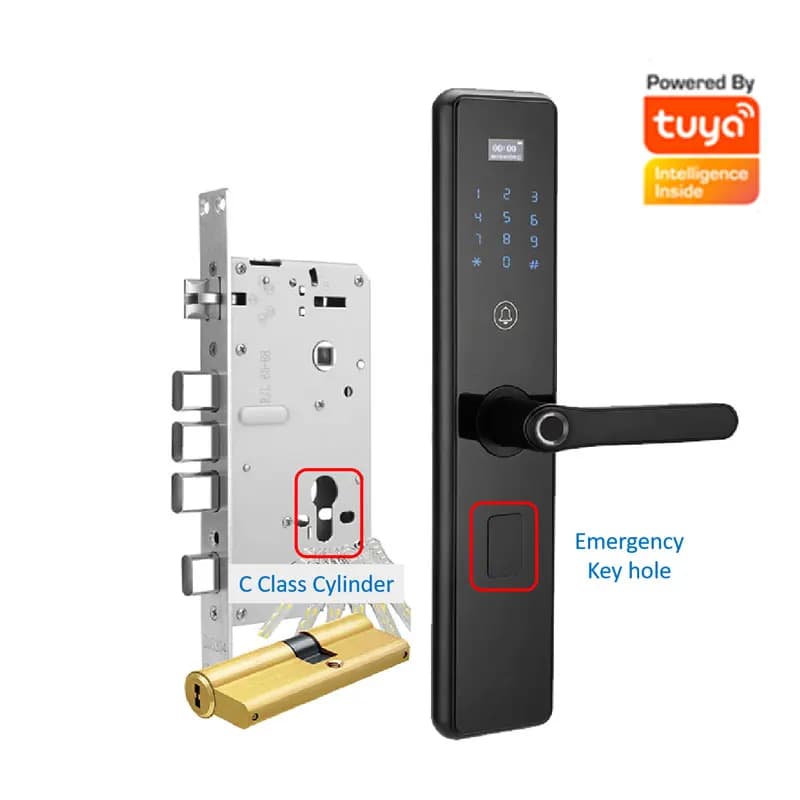 Tuya Ttlock Smart Home Smart Lock Wifi Serratura biometrica per impronte digitali per edifici di uffici di appartamenti di hotel