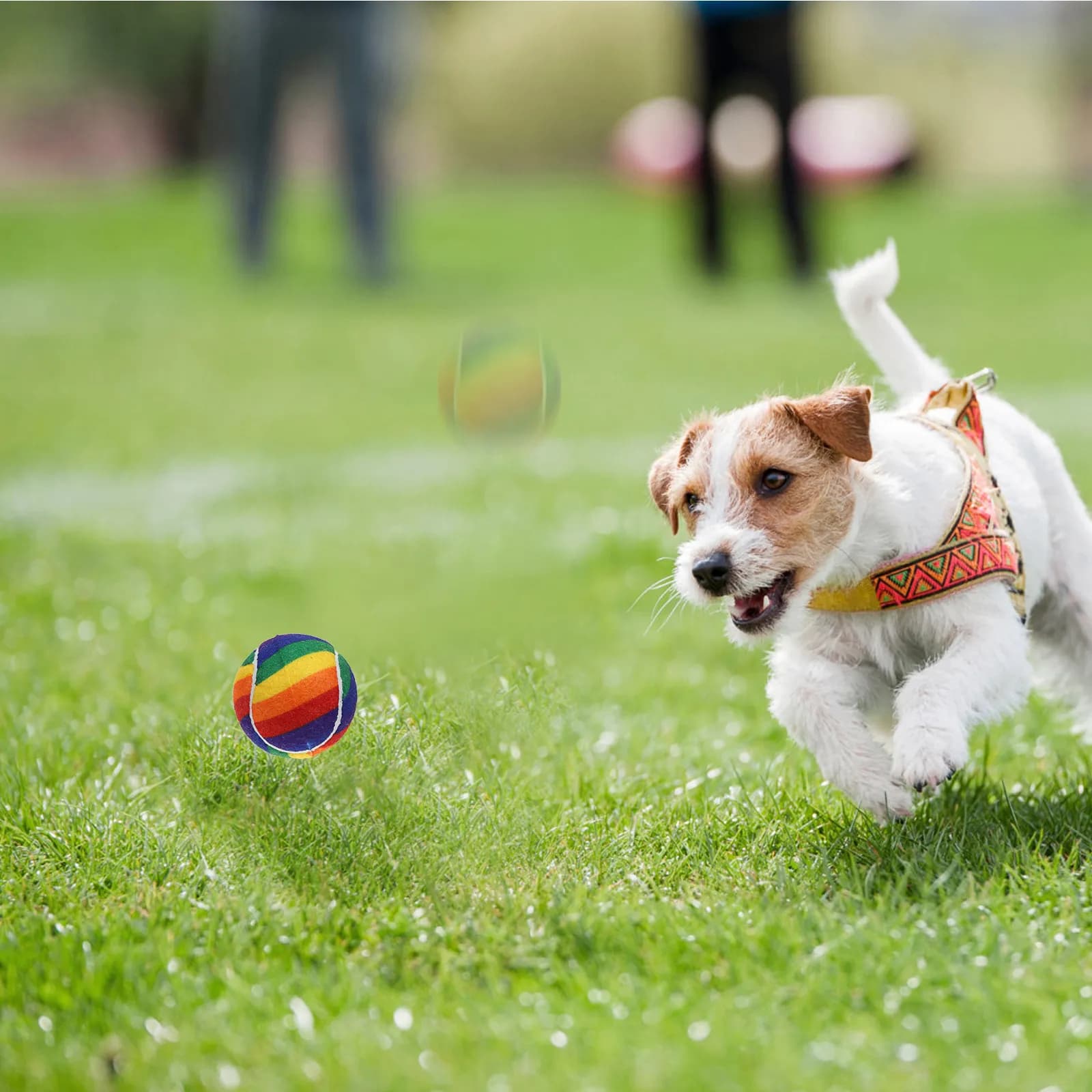 3Pcs Colorful Rubber Tennis Balls Elastic Pet Balls for Outdoor Fetch Interactive Training Small Medium Dogs Tennis Ball