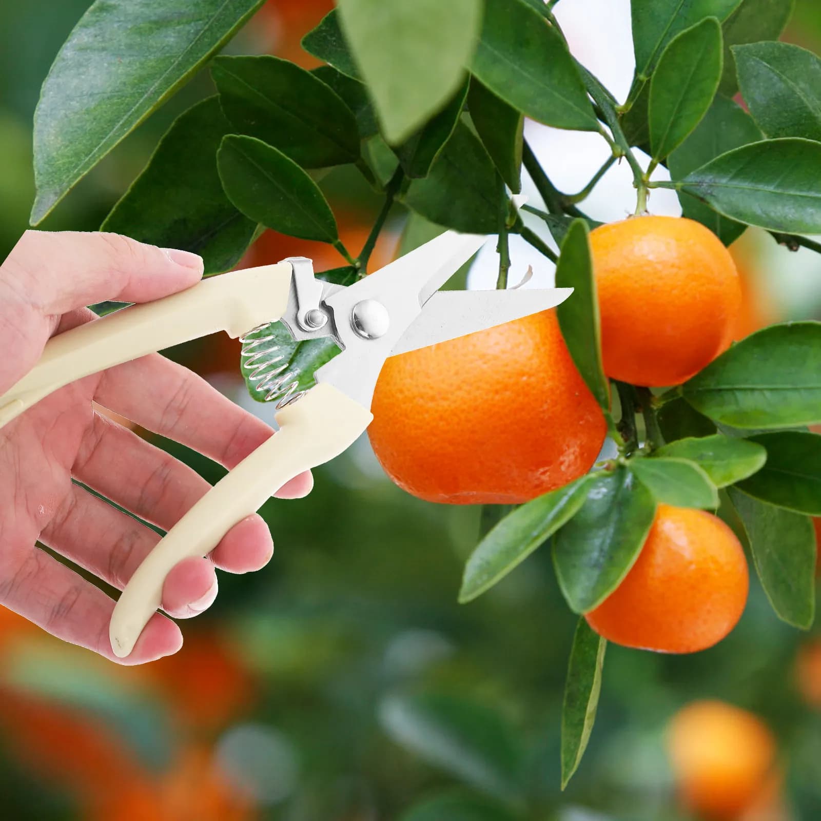 Stainless Steel Potting Scissors, Portable and Light Garden Tools, Fruit Copper Trimmers, Garden Baskets for Exterior