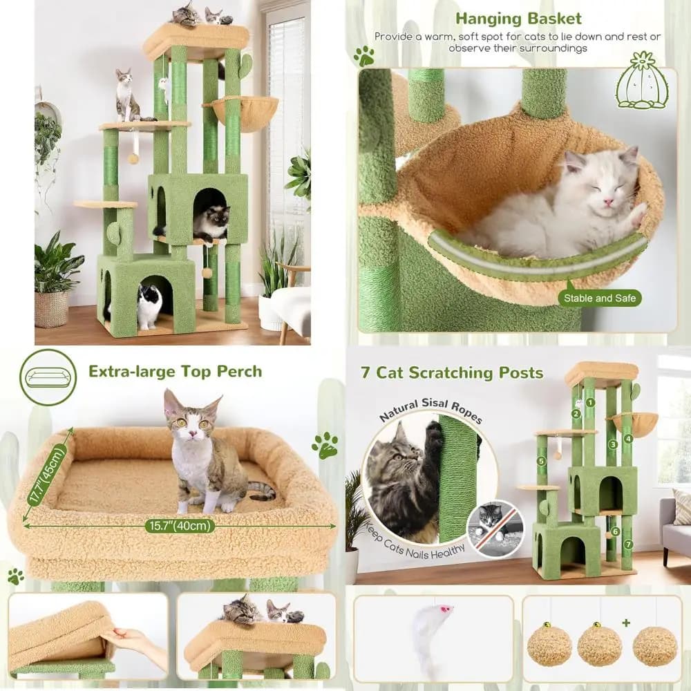 Albero per Gatti da Interno Stile Cactus con Ampia Piattaforma e Tiragraffi per Gatti Maine Coon, 61 Verde