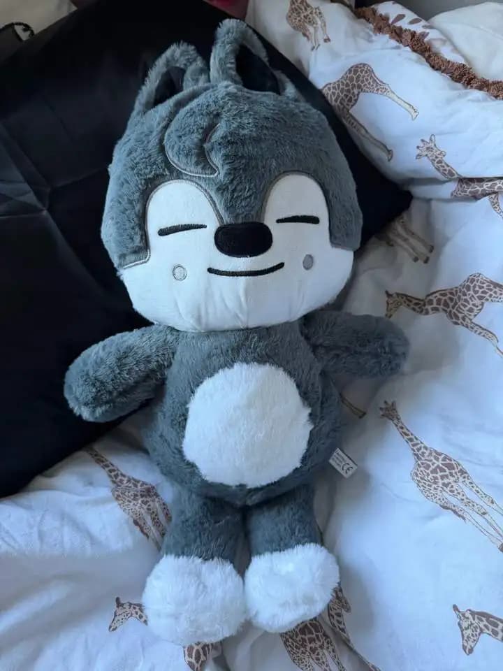 50 cm Grande Skzoo Karma Peluche Ventole Animali Farciti Peluche Bambola Kawaii Compagno per Bambini Adulti Ventole Regalo Room Decor Regalo