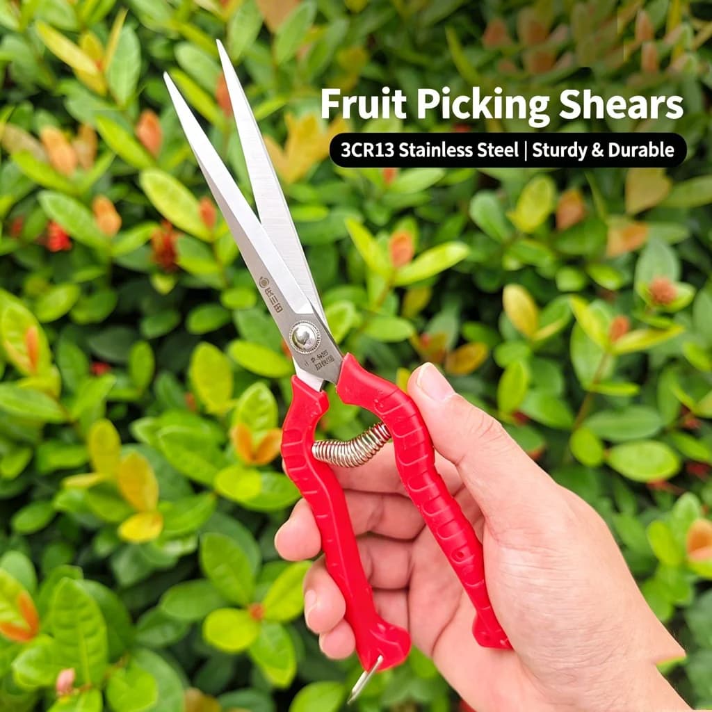 Sagawada 905 extended fruit picking shears, pruning scissors, flower pruning tool, gardening tool for home use, fruit scissors, made of stainless steel