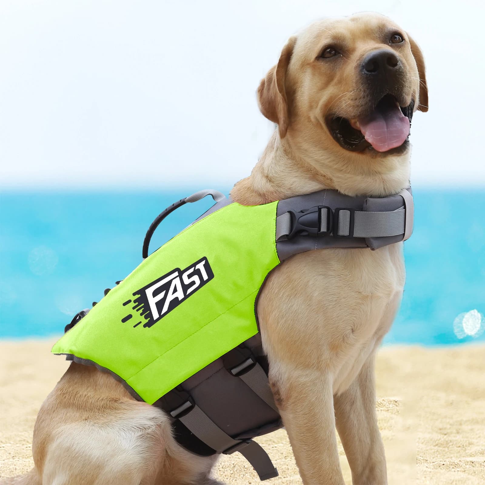 Giubbotto di salvataggio per cani, giubbotto di salvataggio per cani, giubbotto di salvataggio riflettente per cuccioli con maniglia di galleggiamento e salvataggio, giubbotti galleggianti per cani di sicurezza regolabili