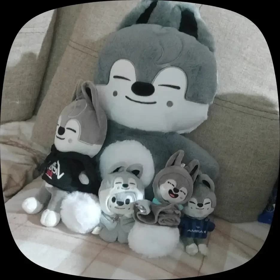 23-50 cm Kpop Skzoo Peluche Stray Kids Kawaii Cartoon Peluche Peluche Bambola di Grandi Dimensioni Bambini Neonati Dormire Cuscino Regalo