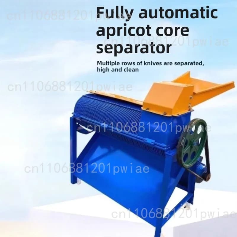 Pelapatate per albicocca, manufatto per la lavorazione della frutta secca, separazione automatica della carne di albicocca e del nucleo di albicocca