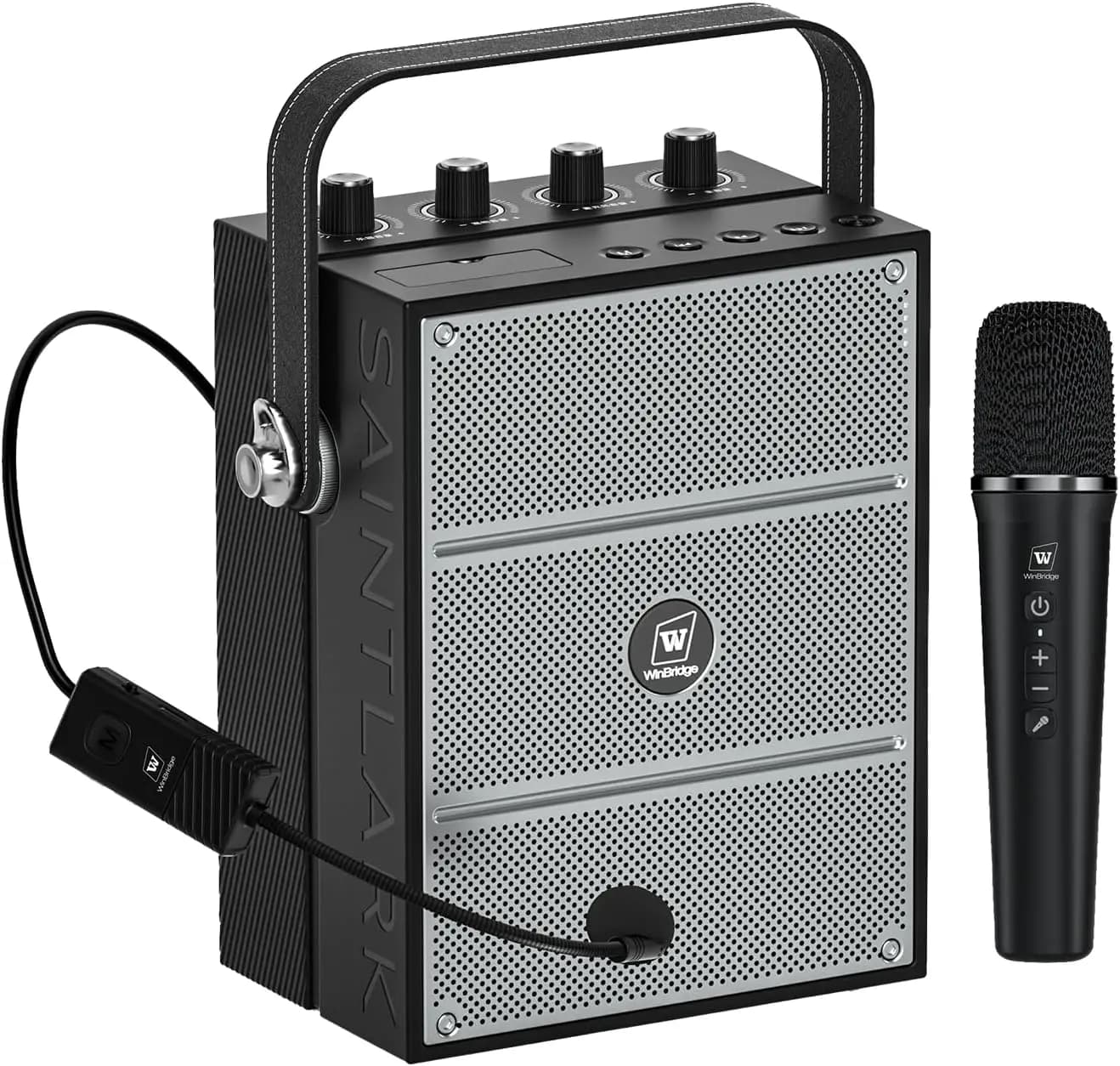 Altoparlante Bluetooth da 60W con Doppio Microfono, Sistema PA Portatile e Macchina per Karaoke per Insegnanti, Audio con Bassi Potenti
