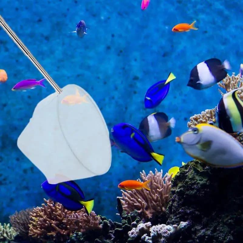 Rete per pesci retrattile in acciaio inossidabile per acquario, guadino per pesca, acquario, gamberetti, rete per la pulizia, rete per pesci dell'acquario