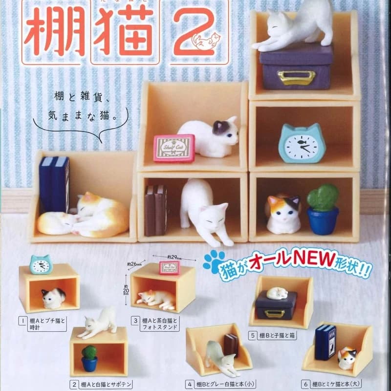Original EPOCH Gashapon Capsule Toys British Shorthair kitly Gaffey Dog Figure Cute Kwaii scaffali in miniatura con gatto