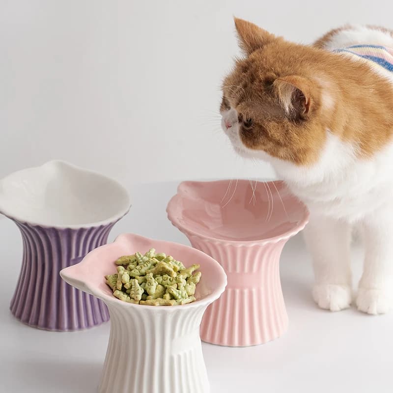Ciotola per Animali Domestici con Gambe Alte, Protezione Collo, Ciotola per Acqua Anti-Bavaglio, per Gatti e Cani